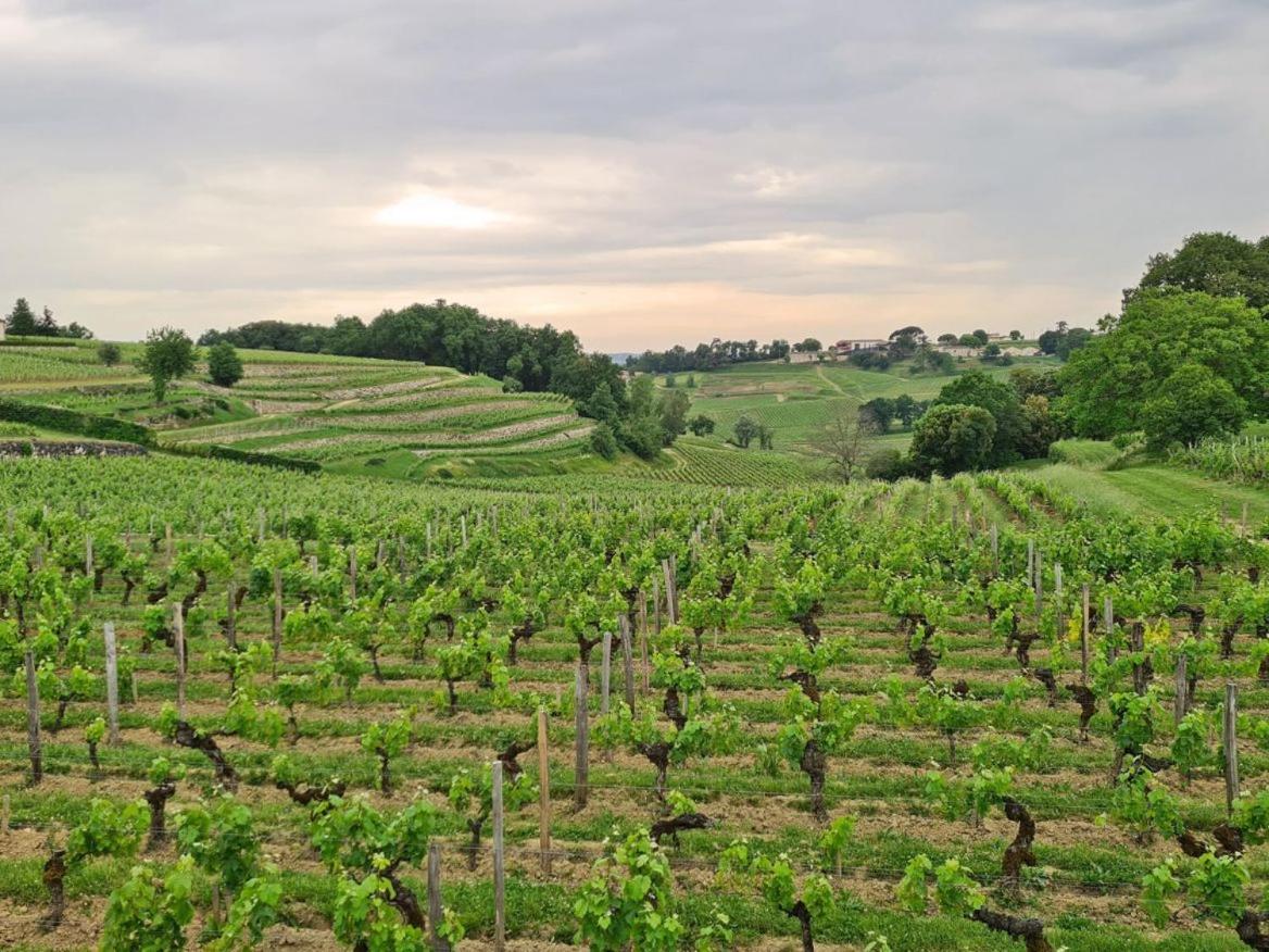 Maison Cosy Avec Vue Sur Les Vignes. Либорн Екстериор снимка