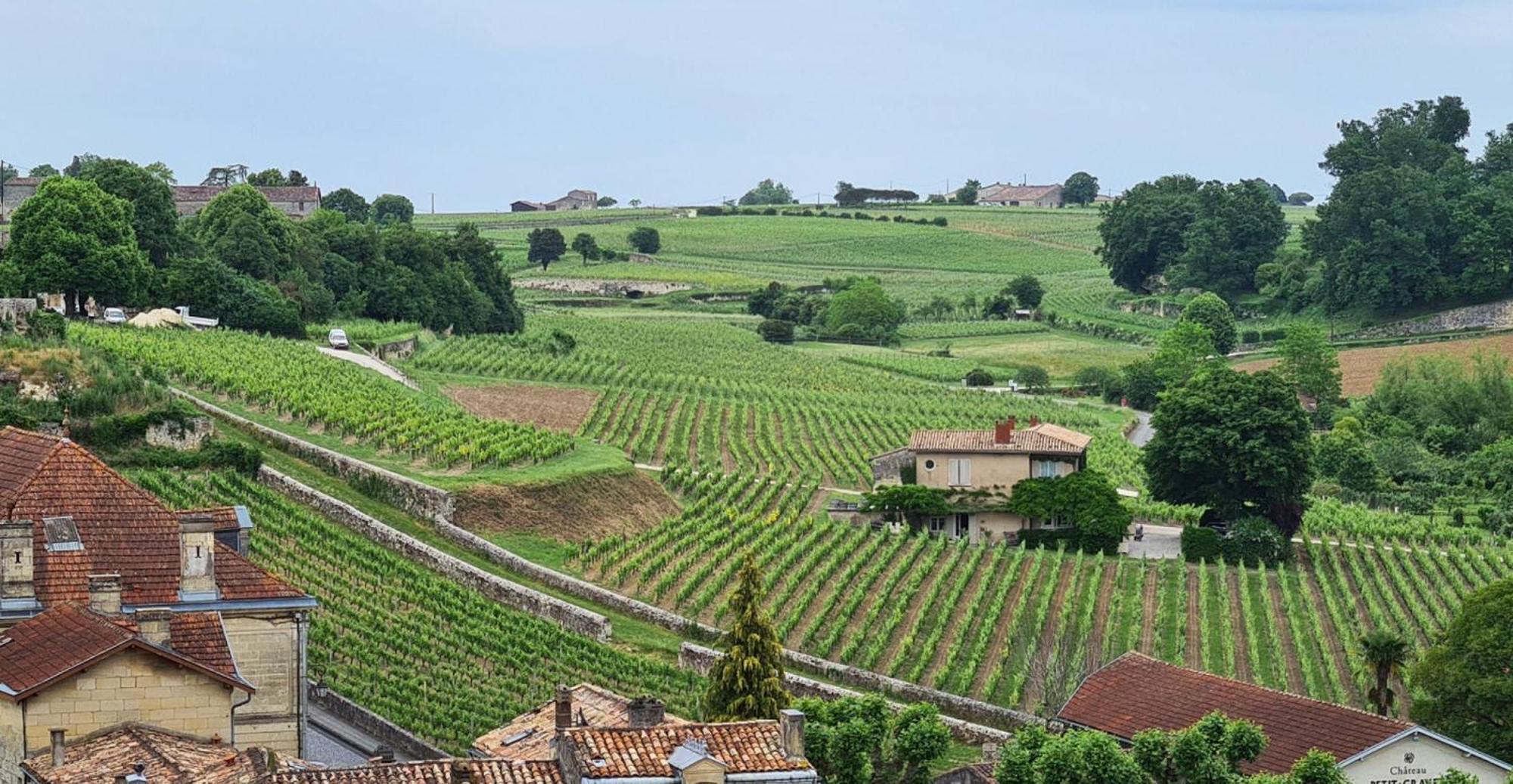Maison Cosy Avec Vue Sur Les Vignes. Либорн Екстериор снимка